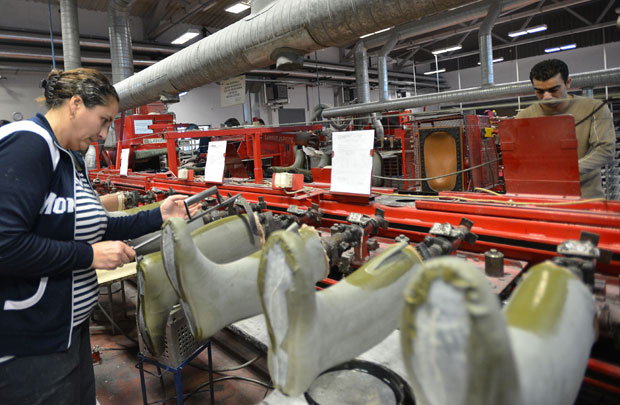 Tигар измакао раљама стечаја